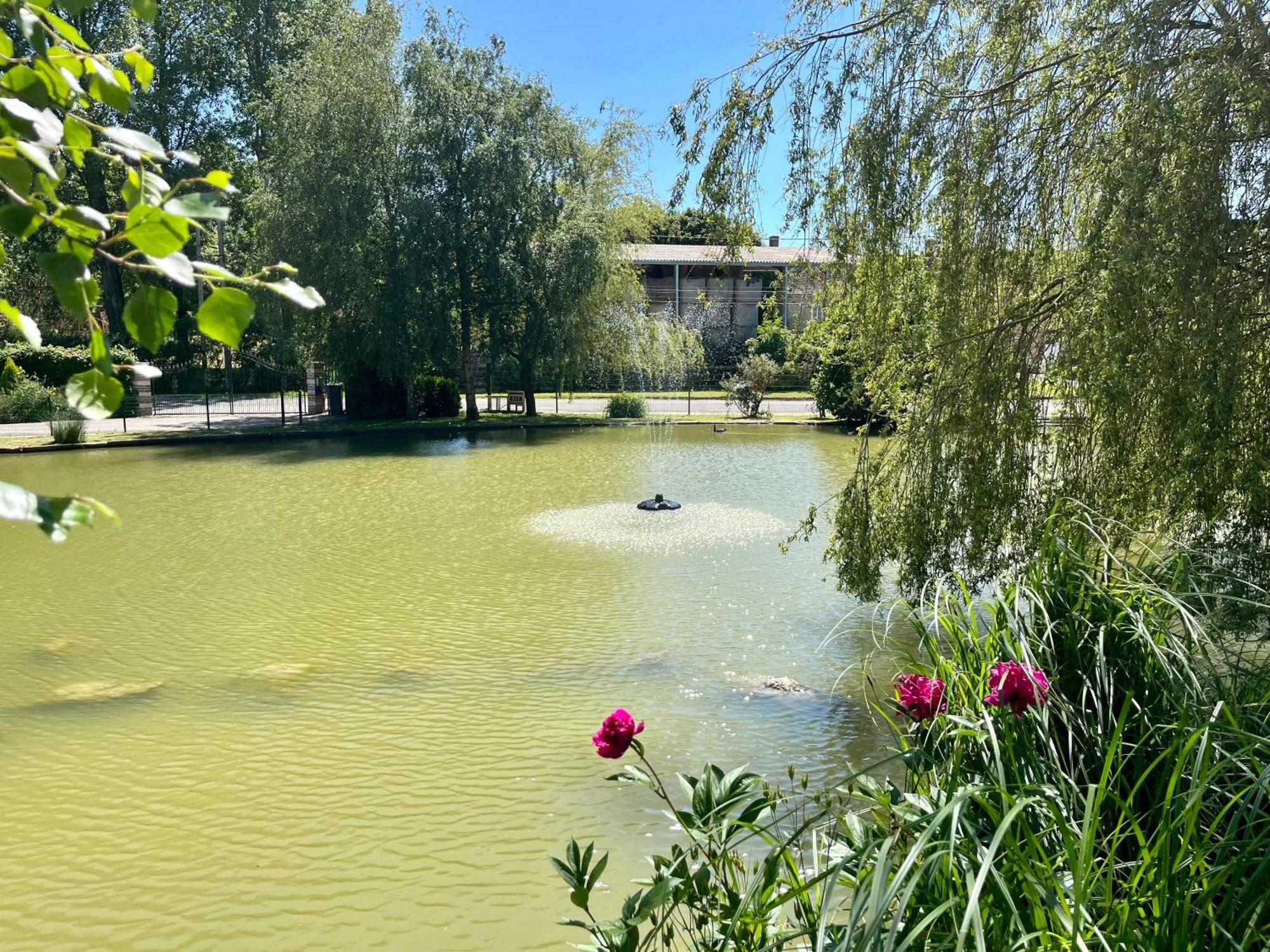 L'Etang D'Une Pause Samer Extérieur photo
